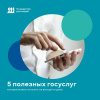 Пять полезных госуслуг